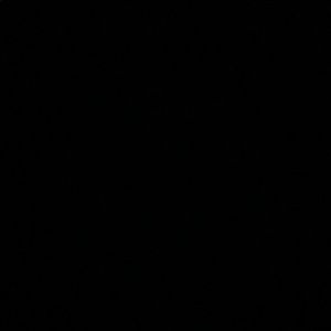 Meet your Posher, Lesli